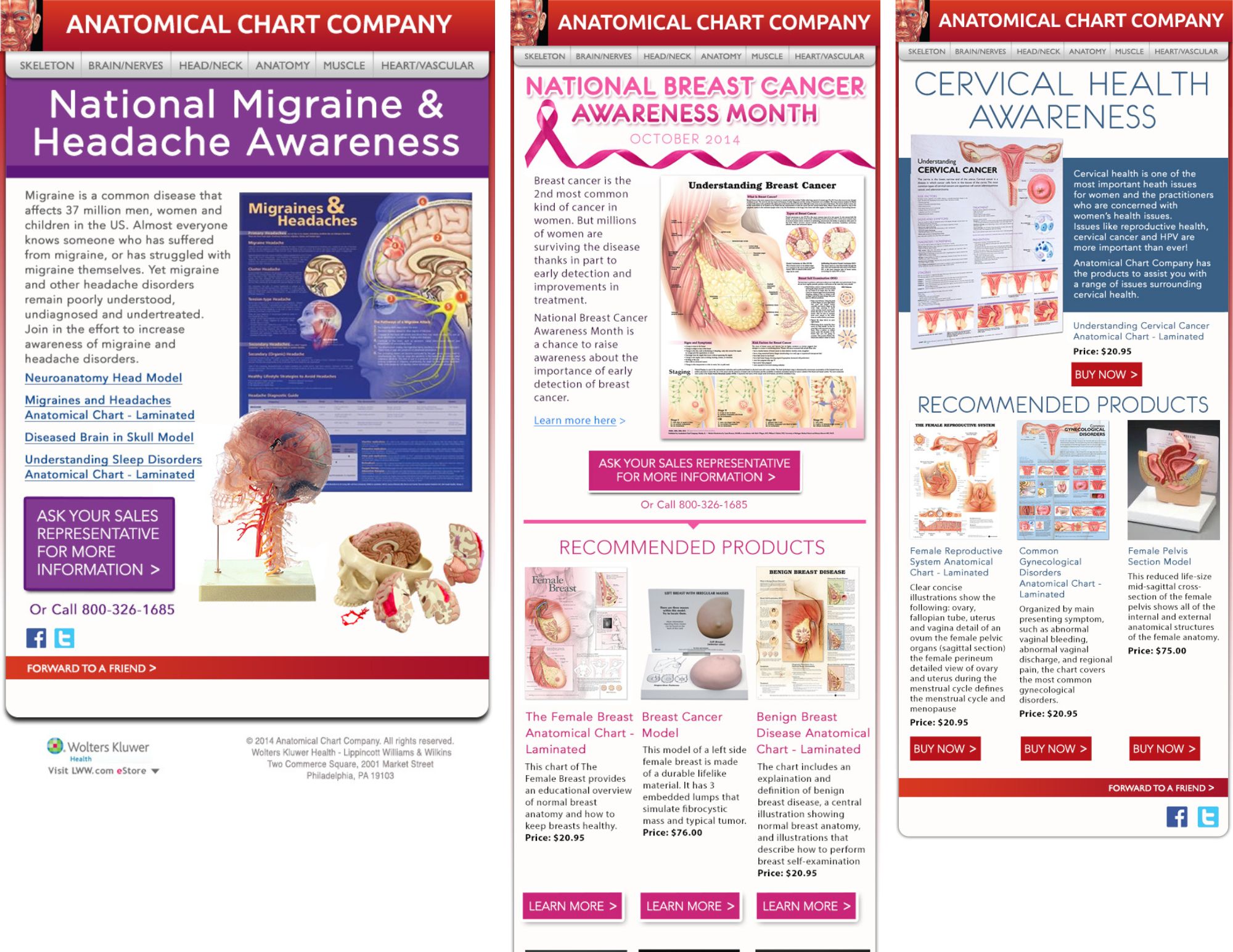 Anatomical Chart Company emails by advertising agency Grey Matter Direct